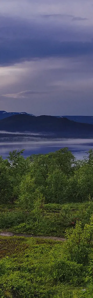 Per Interrail und zu Fuss durch Dänemark, Schweden und Norwegen